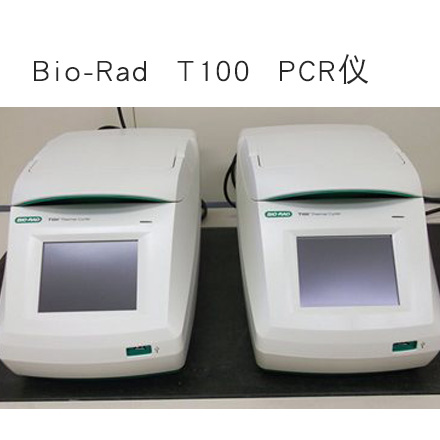 美國(guó)伯樂(lè)T100 pcr儀